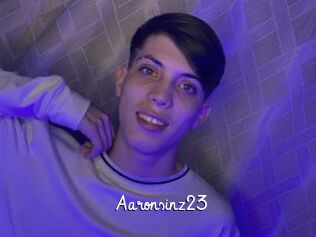 Aaronsinz23