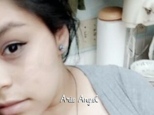 Arie_Angel