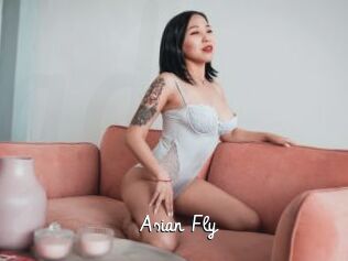 Asian_Fly