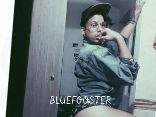 BLUEFOOSTER