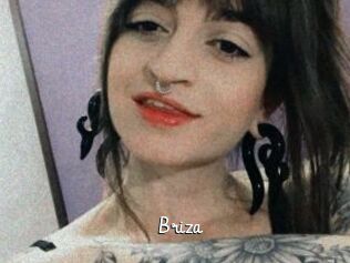 Briza