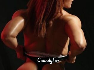 CaandyFox