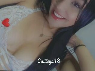 Cattleya18