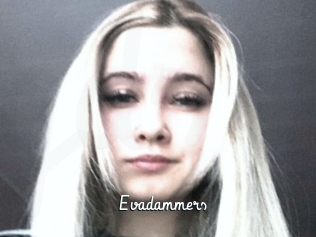 Evadammers