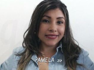 PAMELA_zv