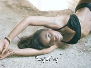 PlayfulPrey
