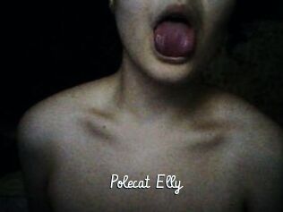 Polecat_Elly