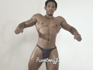 Pumebonyfit