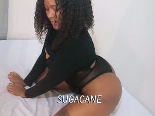 SUGACANE