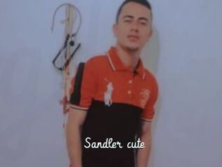 Sandler_cute