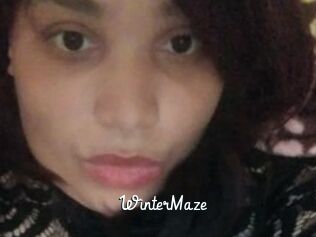 Winter_Maze