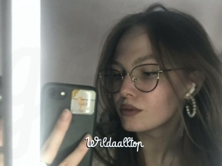 Wildaalltop